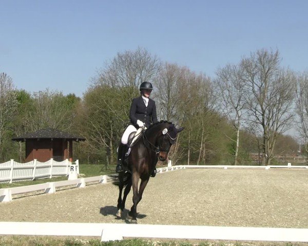 Reitturnier Elmlohe 2025
