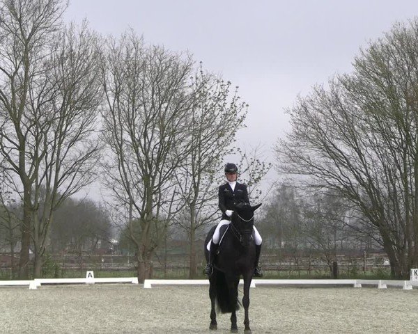 Reitturnier Elmlohe 2025