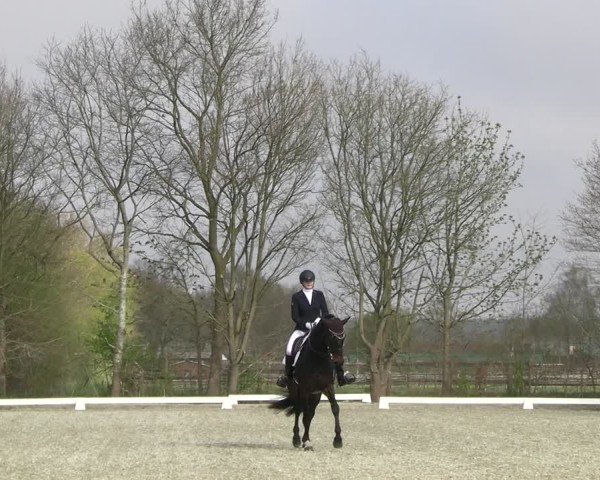 Reitturnier Elmlohe 2025