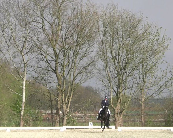 Reitturnier Elmlohe 2025