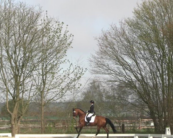 Reitturnier Elmlohe 2025