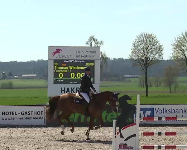 Reitturnier Rot am See- Musdorf 2025