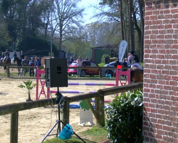 Reitturnier Rhede 2025