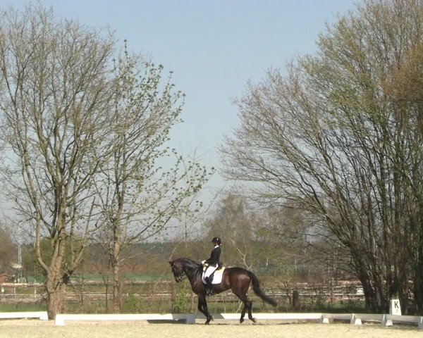 Reitturnier Elmlohe 2025