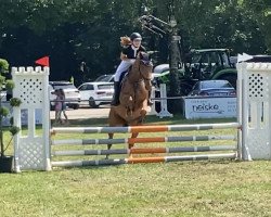 jumper Je suis Chanceux (Irish Sport Horse, 2013, from Je suis Francais)
