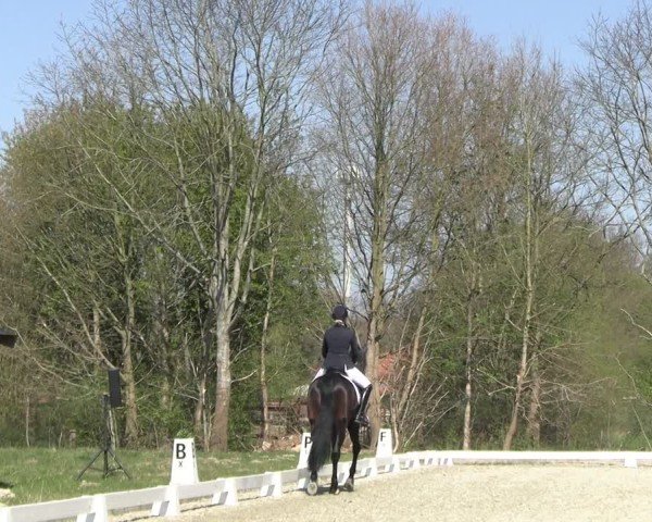 Reitturnier Elmlohe 2025