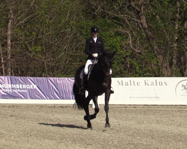 Reitturnier Elmlohe 2025