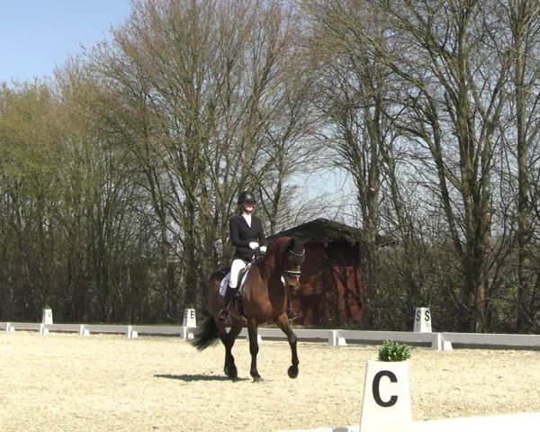 Reitturnier Elmlohe 2025