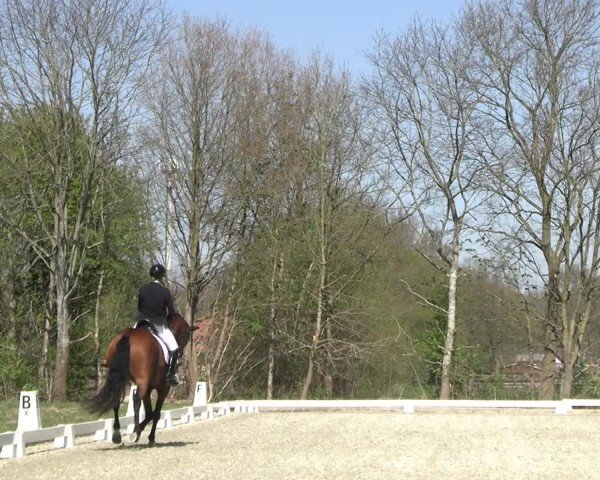 Reitturnier Elmlohe 2025