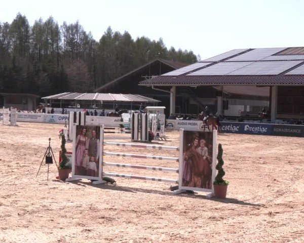 Reitturnier Ranshofen - Braunau am Inn 2025