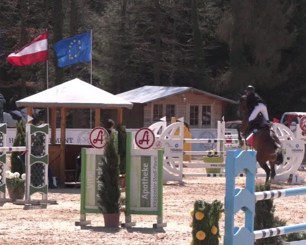 Reitturnier Ranshofen - Braunau am Inn 2025