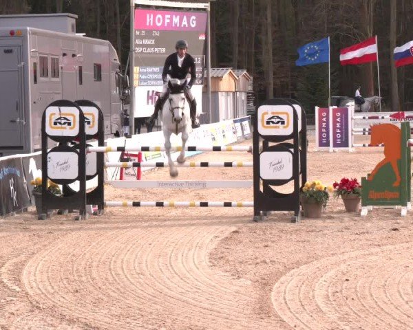 Reitturnier Ranshofen - Braunau am Inn 2025