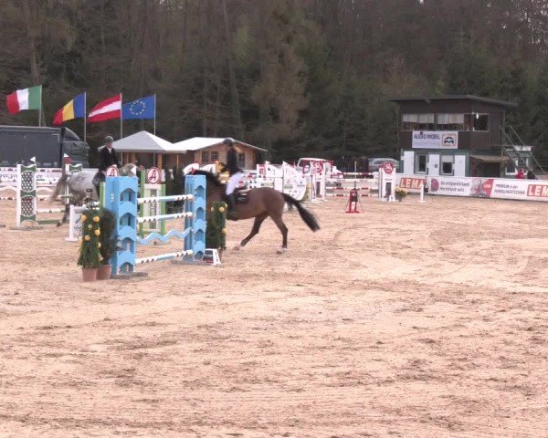 Reitturnier Ranshofen - Braunau am Inn 2025