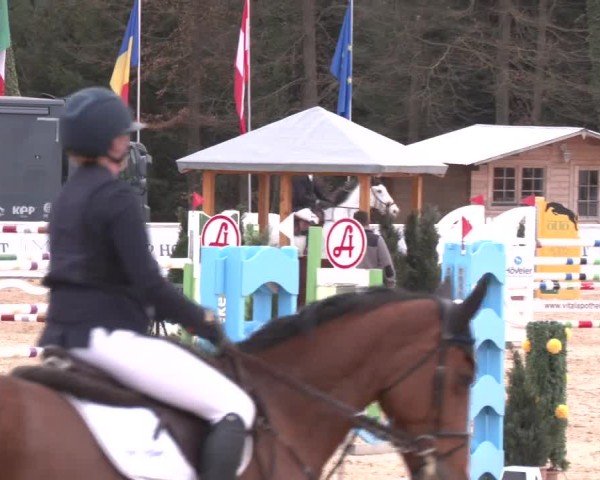 Reitturnier Ranshofen - Braunau am Inn 2025