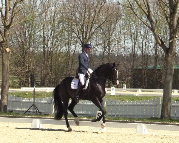 Reitturnier Elmlohe 2025
