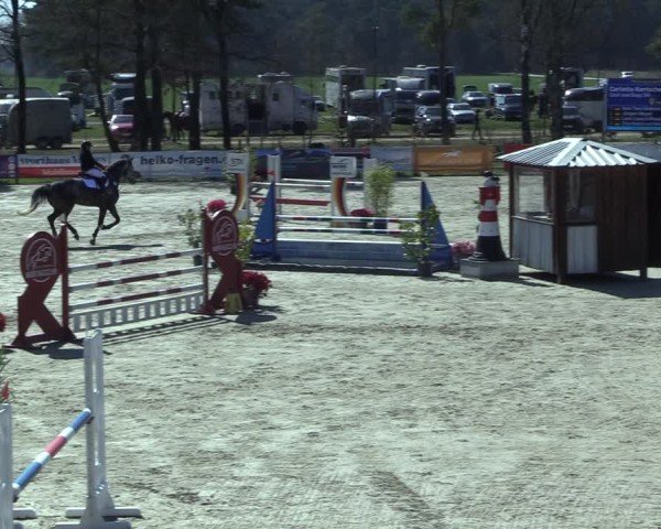Reitturnier Westergellersen 2025
