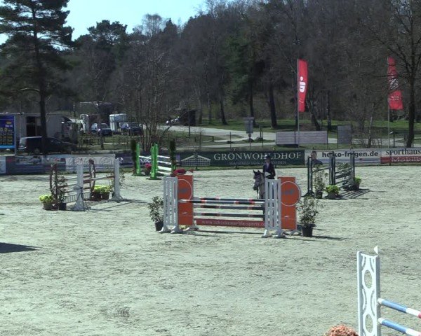 Reitturnier Westergellersen 2025