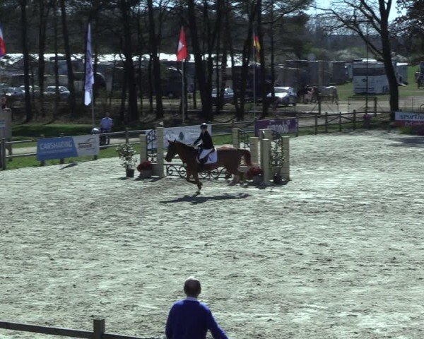 Reitturnier Westergellersen 2025