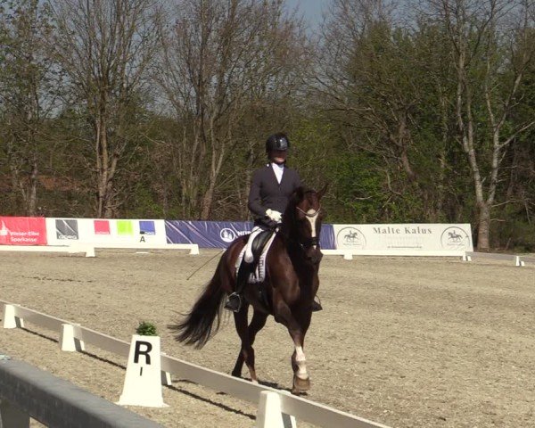 Reitturnier Elmlohe 2025