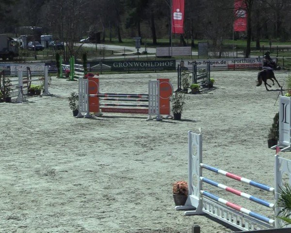 Reitturnier Westergellersen 2025