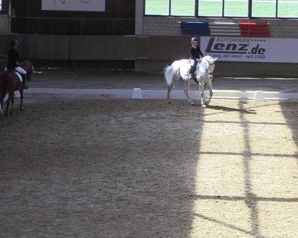 Reitturnier Oelde 2025