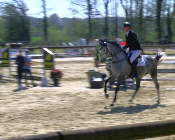 Reitturnier Rhede 2025