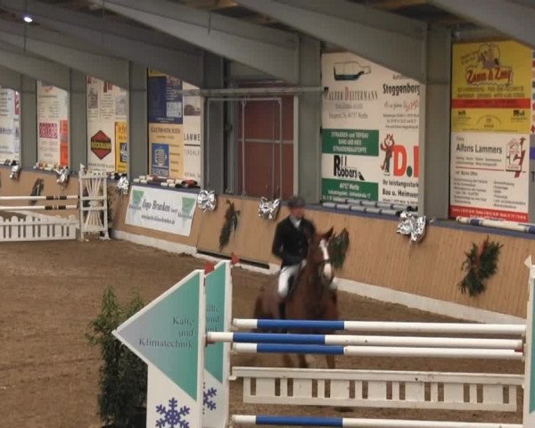 8. Springfestival Werlte