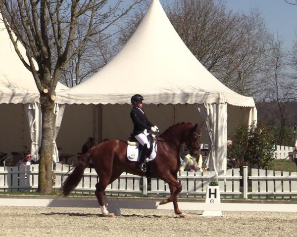 Reitturnier Elmlohe 2025