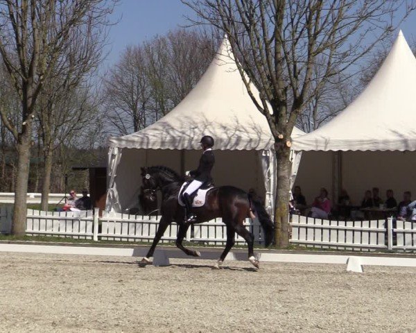 Reitturnier Elmlohe 2025