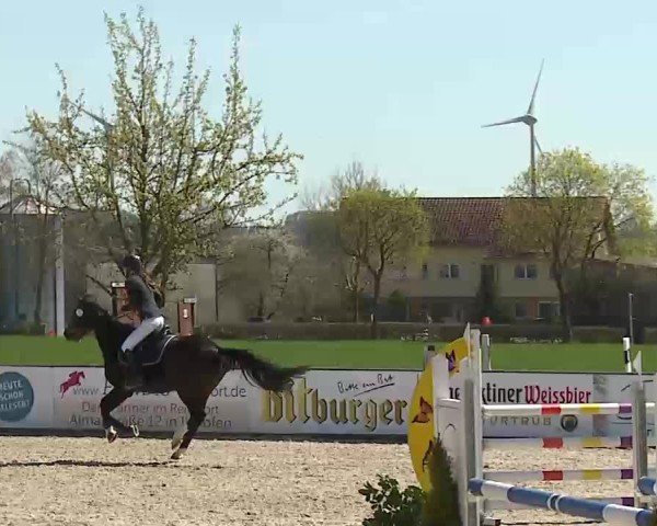 Reitturnier Rot am See- Musdorf 2025