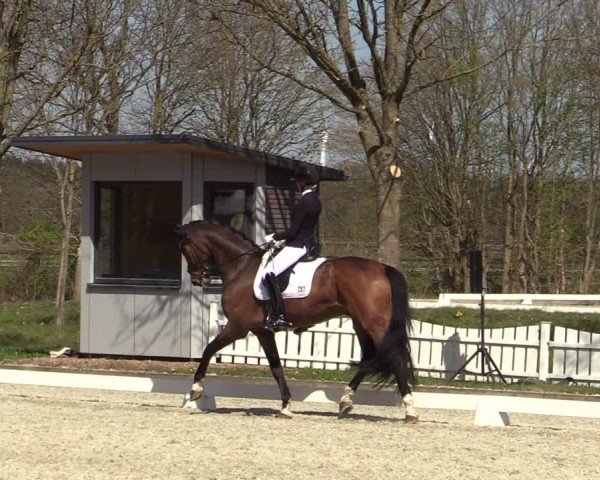 Reitturnier Elmlohe 2025