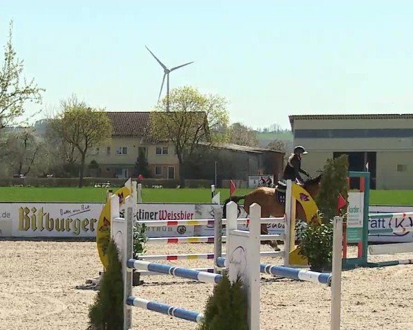 Reitturnier Rot am See- Musdorf 2025