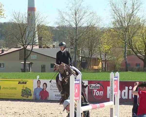 Reitturnier Rot am See- Musdorf 2025