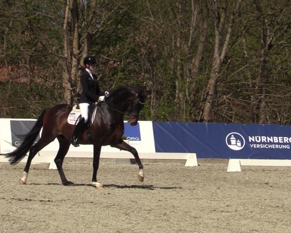 Reitturnier Elmlohe 2025