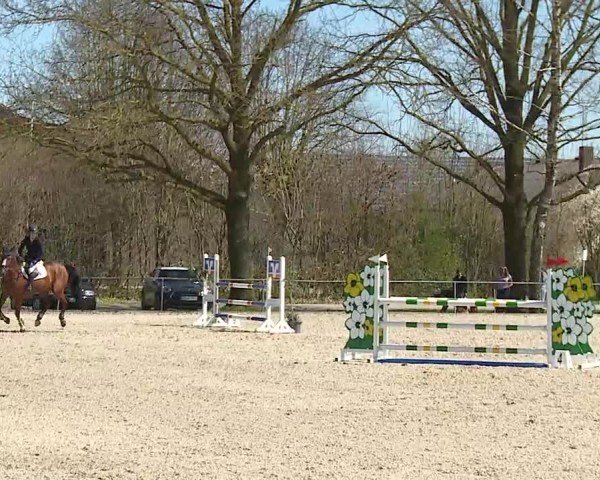 Reitturnier Rot am See- Musdorf 2025