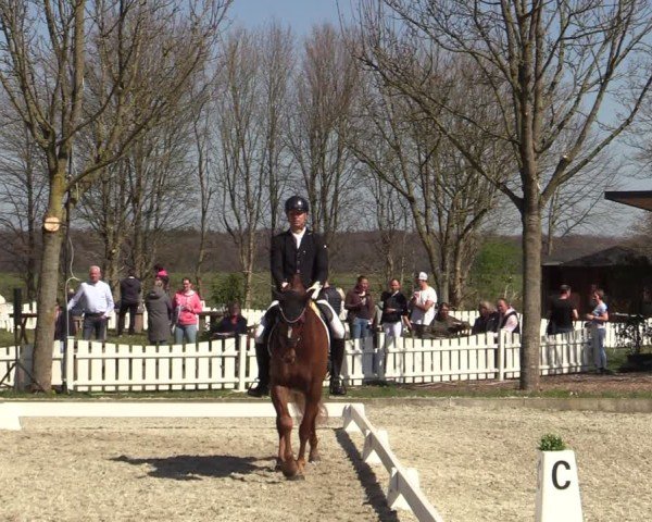 Reitturnier Elmlohe 2025