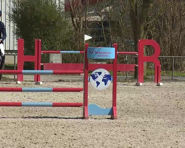 Reitturnier Rot am See- Musdorf 2025