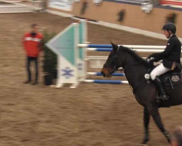 8. Springfestival Werlte