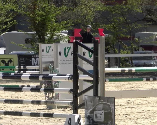 Reitturnier Bregenz 2025