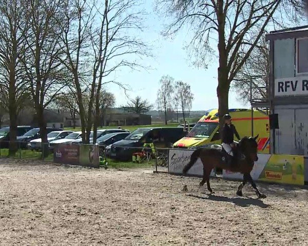 Reitturnier Rot am See- Musdorf 2025