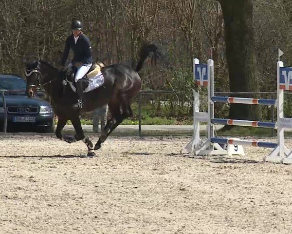 Reitturnier Rot am See- Musdorf 2025