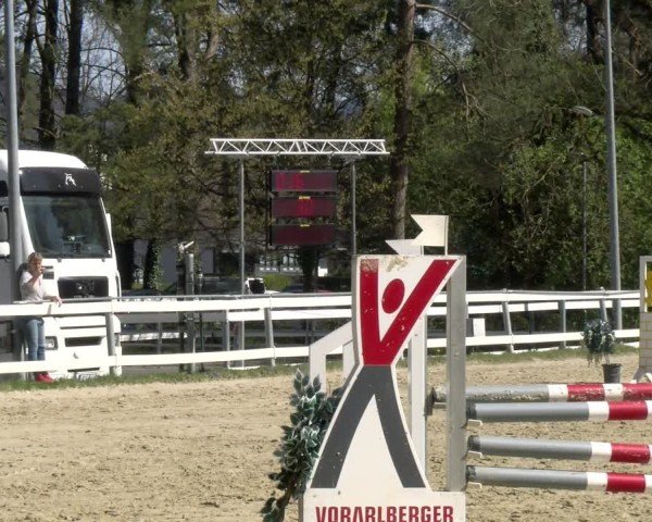 Reitturnier Bregenz 2025