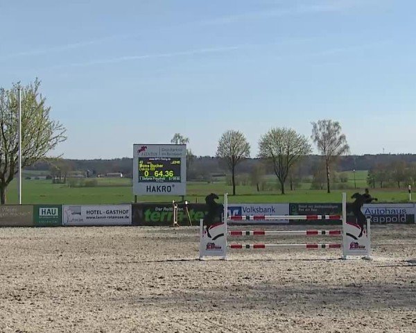 Reitturnier Rot am See- Musdorf 2025