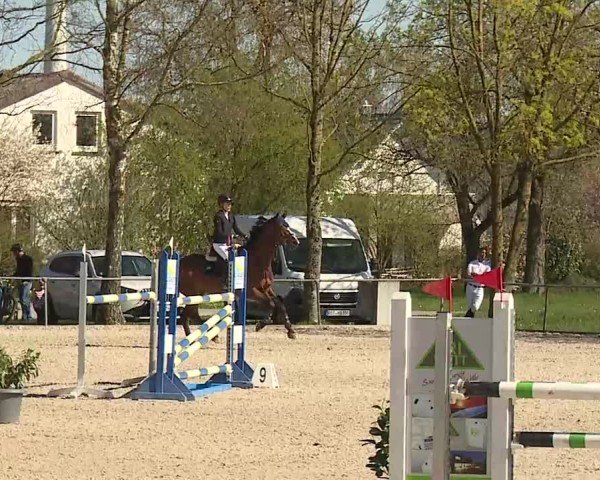 Reitturnier Rot am See- Musdorf 2025