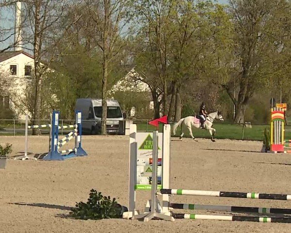 Reitturnier Rot am See- Musdorf 2025