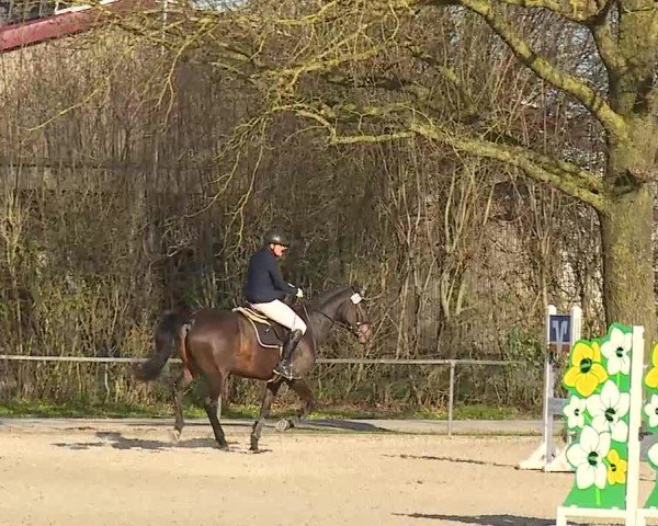 Reitturnier Rot am See- Musdorf 2025