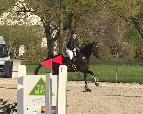 Reitturnier Rot am See- Musdorf 2025