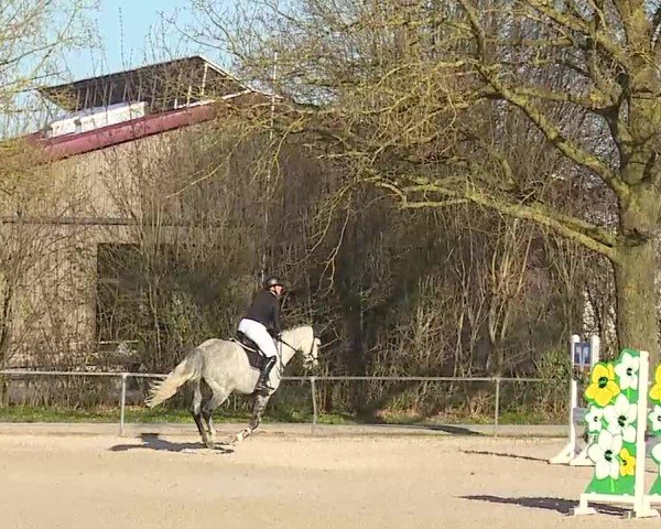 Reitturnier Rot am See- Musdorf 2025
