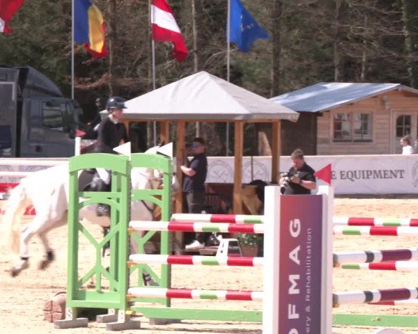 Reitturnier Ranshofen - Braunau am Inn 2025