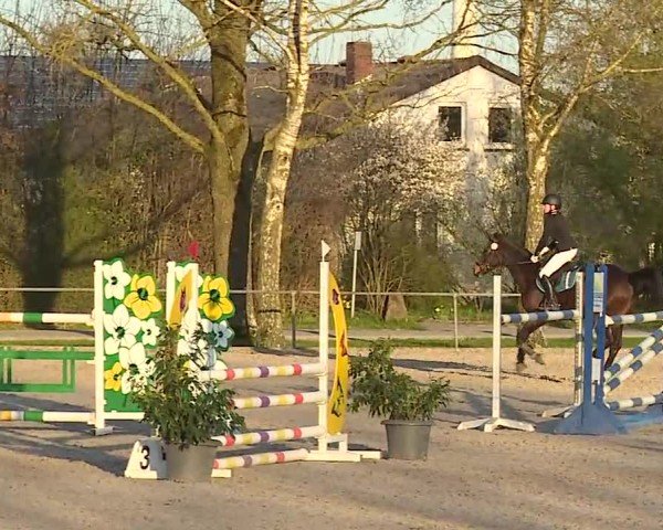 Reitturnier Rot am See- Musdorf 2025